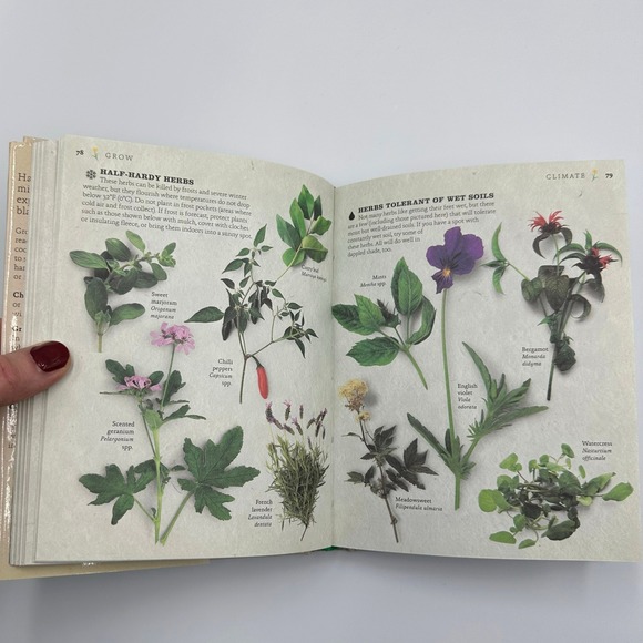 French Bistro Cookbook Lot 2 Steak Frites Herb Garden DK 2003 2010 Hardcover - Picture 4 of 10